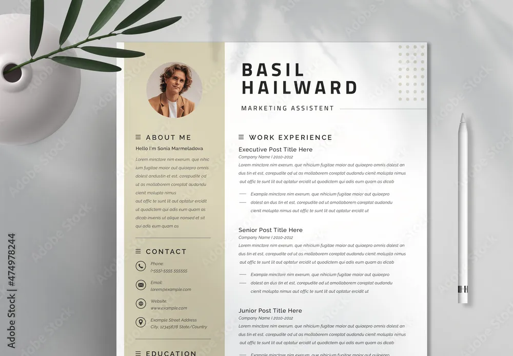 44038 resume cover letter layout image 4