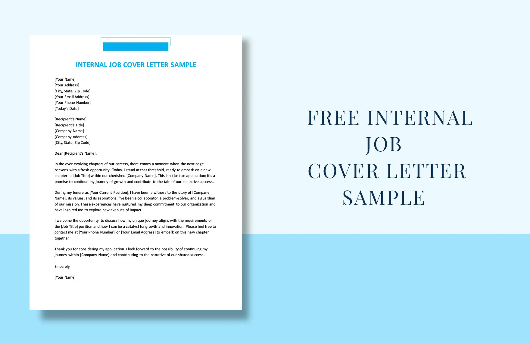 44358 successful cover letter